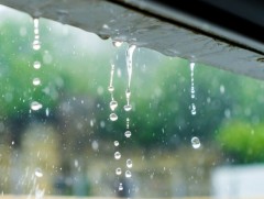 ЦУОШГ: Улаанбаатар хотод орж байгаа бороо 2 цаг орчим үргэлжилнэ