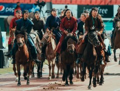 Наадмын нээлт, хаалтад оролцох тусгайлан бэлтгэсэн 18 адууг хулгайлж, төхөөрчээ