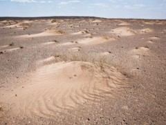 Монгол орны хэмжээнд цөлжилт, газрын доройтол эрчимтэй явагдсаар байна