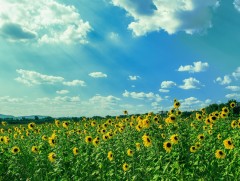 Ойрын 10 хоногийн цаг агаарын урьдчилсан төлөв 