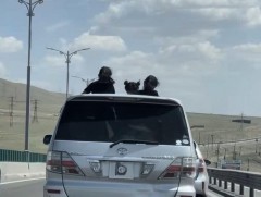 Хүүхэд тээвэрлэхдээ аюулгүй байдлыг бүрэн хангаж хөдөлгөөнд оролцохыг анхааруулав