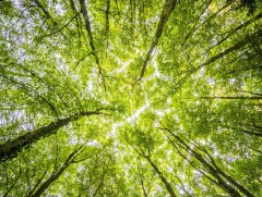 Зуны саруудын цаг агаарын ерөнхий төлөв