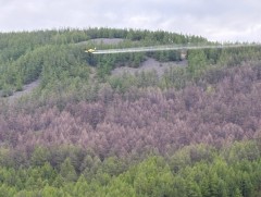 Ойн хөнөөлт шавжтай тэмцэх ажил эхэллээ