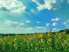 Ойрын 10 хоногийн цаг агаарын төлөв