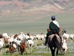 Түшиг сумын 7 хоршоо 900 гаруй сая төгрөгийн зээл авчээ