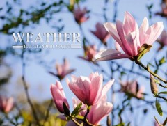 ЦАГ АГААР: Улаанбаатарт өдөртөө 35 хэм дулаан 