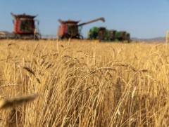 Хөдөө аж ахуйн салбарын харилцааг нэгдсэн хуулиар зохицуулна