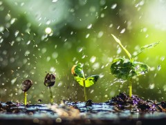 ЦАГ АГААР: Хангай, Хэнтийн уулархаг нутаг, Хэрлэн, Онон голын хөндийгөөр бороо орно