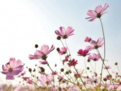 Ирэх 10 хоногт цаг агаар ямар байх вэ 