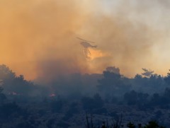 Грекийн Чиос арал дахь ойн түймрийг унтраахаар ажиллаж байна