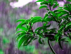 ЦАГ АГААР: Улаанбаатарт өдөртөө 29 хэм дулаан