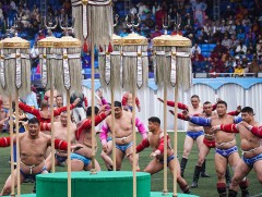 Үндэсний их баяр наадамд зодоглох бөхчүүдийн бүртгэл эхэллээ