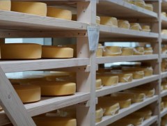 Бяслагийн үйлдвэр 10 гаруй нэр төрлийн бүтээгдэхүүн үйлдвэрлэнэ