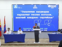 Манай улс Гепатитын вирусийн халдварын тархалт өндөр оронд тооцогддог