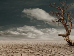 Монголын газар нутгийн 77.8 хувь нь цөлжилтөд өртжээ