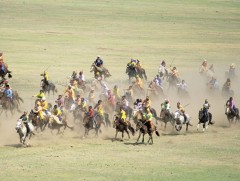 Сүүлийн долоон жилд 2500 гаруй хүүхэд мориноос унаж, мянга гаруй нь бэртсэн байна