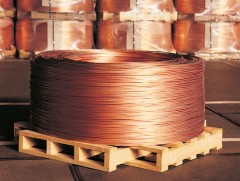 Д.Трамп зэсийн импортод 50 хувийн гаалийн тариф тогтооно гэж мэдэгдэв 