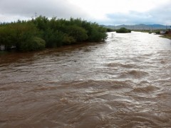 Гол, мөрний усны түвшин 10-60 см нэмэгдсэн байна 