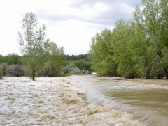 Үерийн аюулаас сэрэмжлүүлж байна!