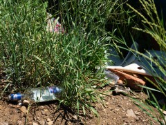 Майхан толгойгоос Дамбын пост хүртэлх гол дагуу үүссэн хогийг цэвэрлэж байна