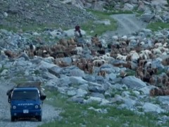 Малчин айлын хүүхдүүд 2-3 хоног мал туун зусландаа хүрдэг