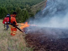 Ой хээрийн түймрийн таван дуудлага шинээр бүртгэгджээ