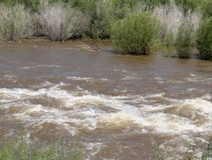 Зарим голын усны түвшин өмнөх өдрөөс 10-20 см нэмэгджээ  