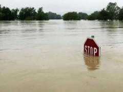 Тэрэлж, Туул зэрэг голуудын усны түвшин өмнөх өдрөөс 5-60 см нэмэгджээ