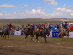 Монгол Улсын Алдарт уяач Ч.Амарсанаагийн уясан хүрэн азарга түрүүллээ