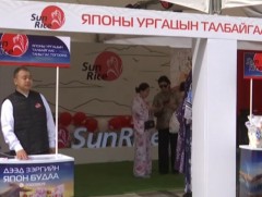 Япон улсын Нийгата муж тариалсан цагаан будаагаа шинээр нь хүргэж байна