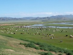 Нийт нутгийн 22 хувьд гандуу, 17 хувьд гантай байна