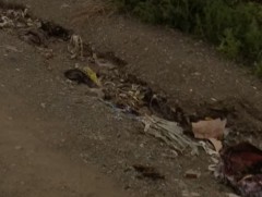 Хөрсний бохирдлоос үүдэн гэдэсний халдварт өвчин тархах эрсдэлтэйг анхааруулж байна 