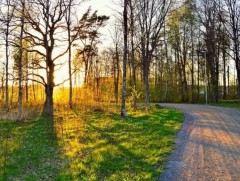 Улирлын буюу ирэх саруудын цаг агаарын ерөнхий төлөв