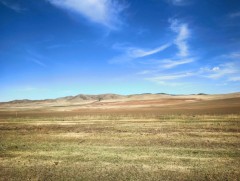 Увс, Баян-Өлгий, Ховд, Дархан-Уул аймгийн ихэнх нутаг гантай байна
