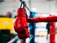 Боксын насанд хүрэгчдийн ДАШТ ирэх 9 дүгээр сард болно