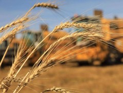 Энэ онд хөдөө аж ахуйн салбарыг дагасан эдийн засгийн өсөлт буурах төлөвтэй байна