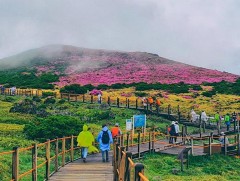 Чэжү аралд зочилж буй иргэд ёс зүйн зөрчил гаргавал торгууль төлдөг болно
