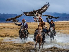 Монгол Улсад дөрвөн төрлийн бүргэд байдаг