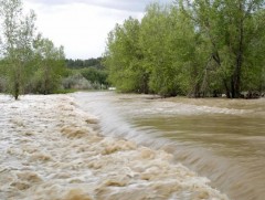 Үерийн аюулаас сэрэмжлүүлж байна!