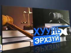 Эрүүгийн хуулийн 13,14 дүгээр зүйлийг хүчингүй болгох амлалт хэрэгжихгүй байна