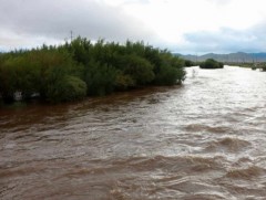 Туул гол Алтанбулаг орчимд 15 см нэмэгдэх хандлагатай байна 