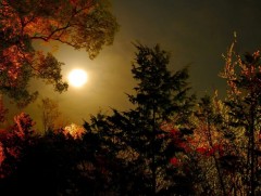 ЦАГ АГААР: Улаанбаатарт шөнөдөө 11 хэм дулаан