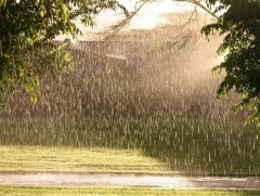 ЦАГ АГААР:  Наймдугаар сарын 4, 5-нд төв болон зүүн аймгуудын нутгийн хойд хэсгээр бороо орж, сэрү..