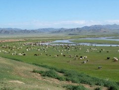 Нийт нутгийн 38 хувьд гантай болон гандуу, 62 хувьд хэвийн байна