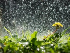 Өнгөрөгч сард хамгийн бага хур тунадас орсон байна