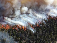 Сэлэнгэ, Хөвсгөл, Баян-Өлгий аймагт гарсан түймрийг унтраахаар ажиллаж байна
