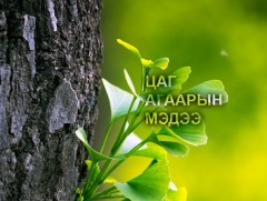 ЦАГ АГААР: Улаанбаатарт өдөртөө 18 хэм дулаан