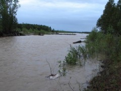 Үер усны аюулаас болгоомжтой байхыг анхааруулав