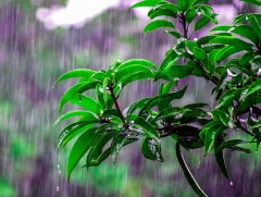 ЦАГ АГААР: Улаанбаатарт өдөртөө 17 хэм дулаан