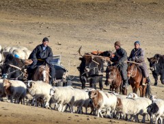 Отроор яваа малчдад харьяалал харгалзахгүй эрүүл мэндийн тусламж, үйлчилгээ үзүүлнэ
